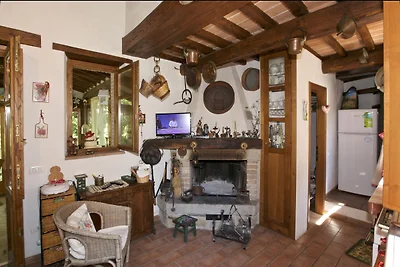 Ferienhaus in Seggiano mit Wald