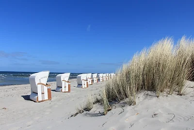 Appartement op het eiland Poel bij het strand