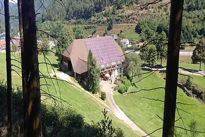 Ferienhaus in Hornberg bei Triberg