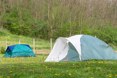 Robinzonski Kamp Hofman - Tent