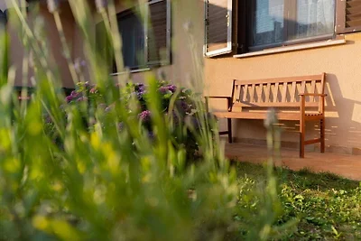 Ferienhaus in Kaštelir mit Schwimmbecken