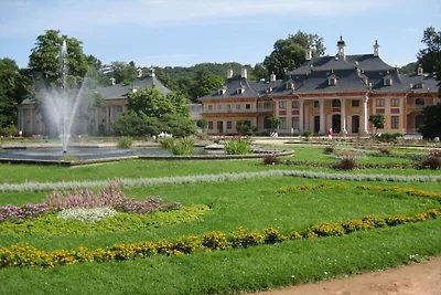 Schrammsteinblick
