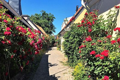 4 persoons vakantie huis in VISBY