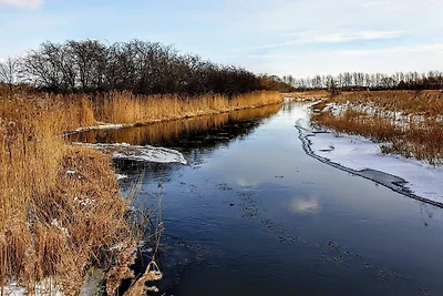 6 Personen Ferienhaus in Store Fuglede