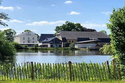 Alte Wassermühle || Steinberg
