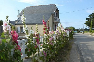 Cottage, Guisseny