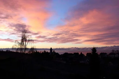 Vue à 180° sur le lac de Constance
