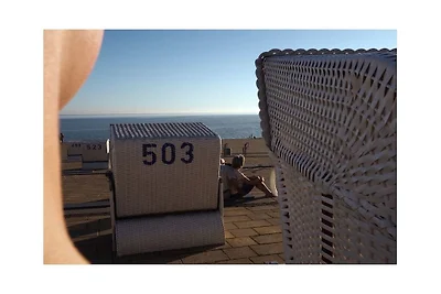 Reetkate am Meer