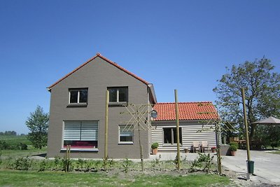 Modernes Ferienhaus mit Kamin in Zuidzande