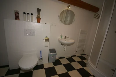 Moderno appartamento con piscina a Vidochov
