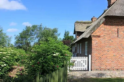 Friesenhaus Hörn