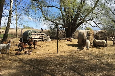 Ferienhaus mit Kamin am Achterwasser in Lütow