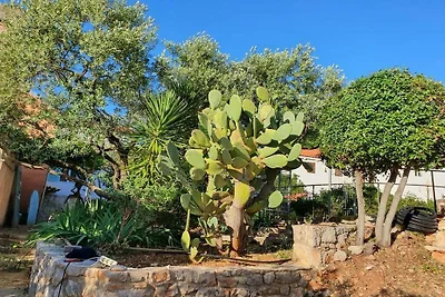 Hütte in Veli Losinj mit Schwimmbecken