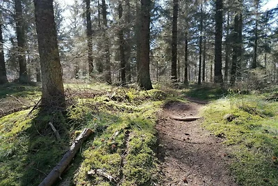 7 Personen Ferienhaus in Grenaa