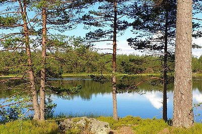 4 sterren vakantie huis in BÄCKEFORS