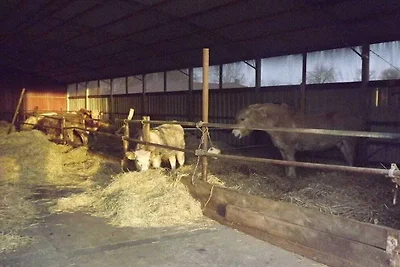 Bei Familie Gau in Poggenhof