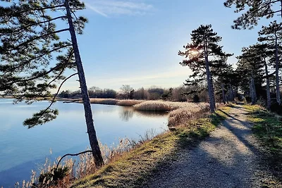 5 Personen Ferienhaus in Jægerspris-By Traum