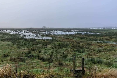 20 persoons vakantie huis in Silkeborg