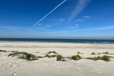 Licht strandhuis met sauna -- By Traum...