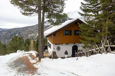 Chalet direkt im Skigebiet Turracher Höhe