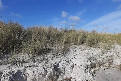 6 persone case ad Hadsund-By Traum