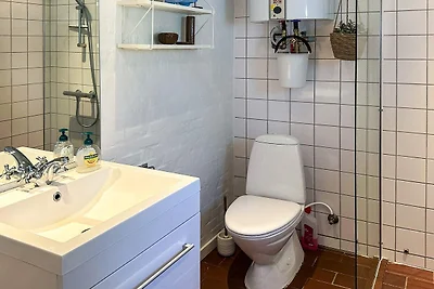 4 Personen Ferienhaus in Skagen-By Traum