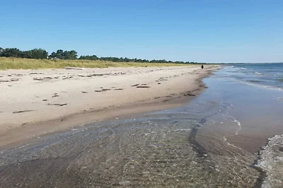 4 Sterne Ferienhaus in Væggerløse-By Traum