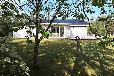 6 Personen Ferienhaus in Højslev-By Traum