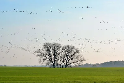 4 nella Seehaus Hartwigsdorf