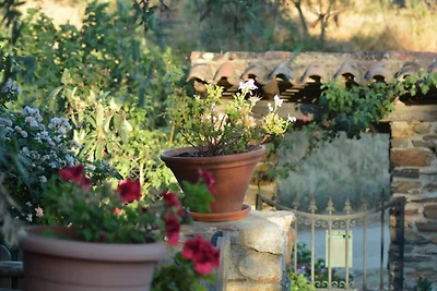 Accogliente casa vacanze con piscina
