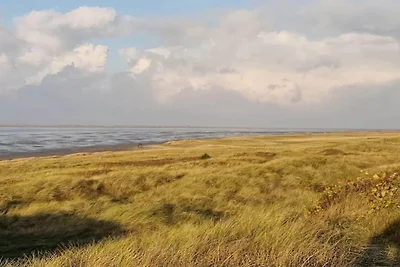 5 persone case ad Rømø-By Traum