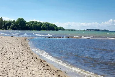 Spaziosa casa vacanze a Zierow con sauna