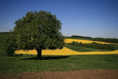 Appartamento nel centro dell'Eifel