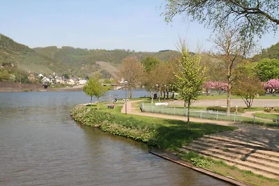 Vakantiehuis in Treis-Karden met wifi