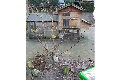 Ferienhaus mit 2 Schlafzimmer