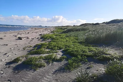 6 persoons vakantie huis in Læsø