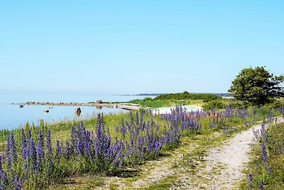 5 Sterne Ferienhaus in Gotlands Tofta