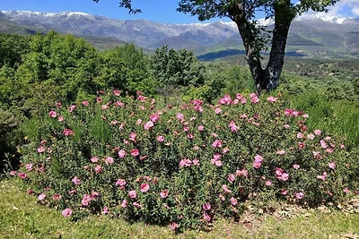 Finca Bellavista de Gredos
