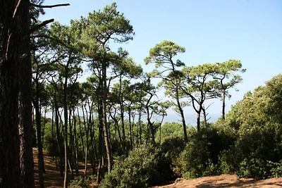 Appartement in St-Michel vlakbij de Jade-kust