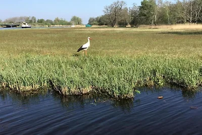 Rietgedekte villa nabij Giethoorn