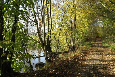 In prossimitá (estate) (<1 km) In prossimitá (estate) (<1 km)