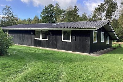 6 Personen Ferienhaus in Fårvang