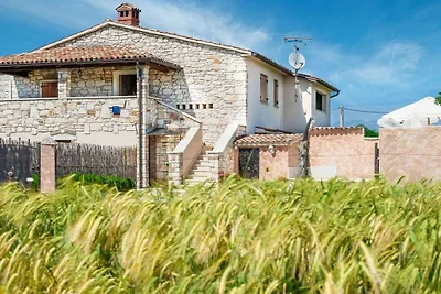 Vakantiehuis in Barbići met zwembad