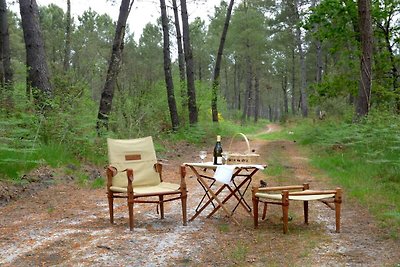 Ecolodge in Sequoia met terras