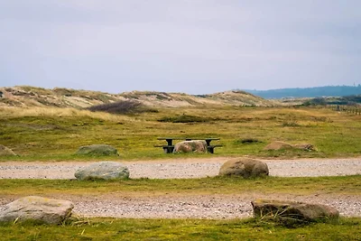 5 Sterne Ferienhaus in Liseleje