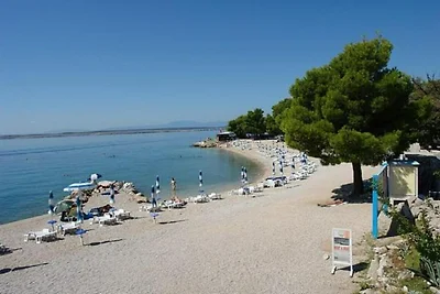 Huisje in Kroatië met zwembad en boszicht