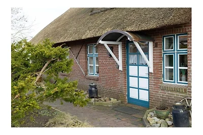 Ferienwohnung mit 1 Schlafzimmer