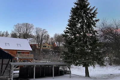 Ferienwohnung in Tanne mit Schwimmbecken