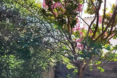 Appartement in La Rochelle vlakbij het...