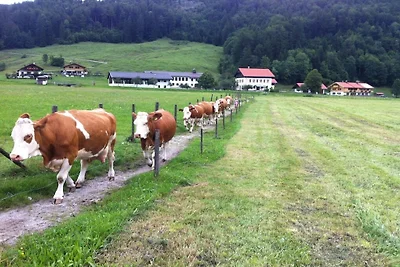 Ferienwohnung Erbhof Jachenau